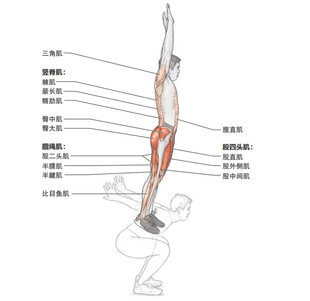 爆发力训练，这些跳跃训练可以试一试！-Parkour中文网